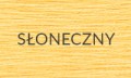 SŁONECZNY 2025