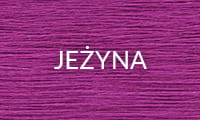 JEŻYNA 2025.jpg
