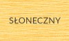 SŁONECZNY-2025-2.jpg