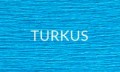 TURKUS 2025.jpg