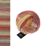 Włóczka skarpetkowa Schoppel Zauberball Crazy 2545 / Early Autumn