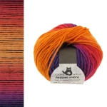 Włóczka Schoppel Reggae Ombre 1536 / A Bed of Fuchsia