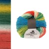 Włóczka Schoppel Reggae Ombre 1701 / Parrot