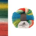 Włóczka Schoppel Reggae Ombre 1701 / Parrot