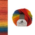 Włóczka Schoppel Reggae Ombre 1702 / Small Tortoiseshell