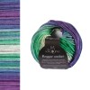 Włóczka Schoppel Reggae Ombre 2437 / Okey-Dokey