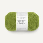 Włóczka Sandnes Garn Borstet Alpakka 9564 / matcha