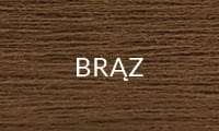 BRĄZ.jpg