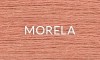MORELA 2025.jpg