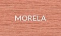 MORELA 2025.jpg