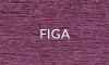 FIGA 2025.jpg
