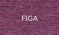 FIGA 2025.jpg