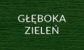 GŁĘBOKA ZIELEŃ.jpg