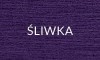 ŚLIWKA.jpg
