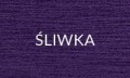 ŚLIWKA.jpg