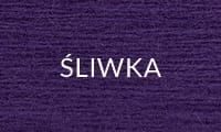 ŚLIWKA.jpg