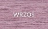 WRZOS 2025.jpg