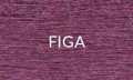 FIGA.jpg