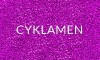 CYKLAMEN(2).jpg
