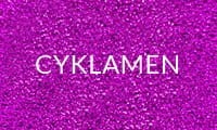 CYKLAMEN(2).jpg