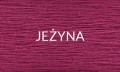 JEŻYNA.jpg