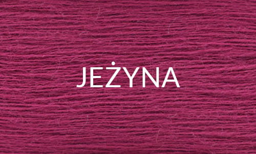 JEŻYNA.jpg