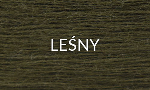 LEŚNY.jpg