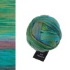 Włóczka Schoppel Wool-Schwestern 2645 / Adelheid