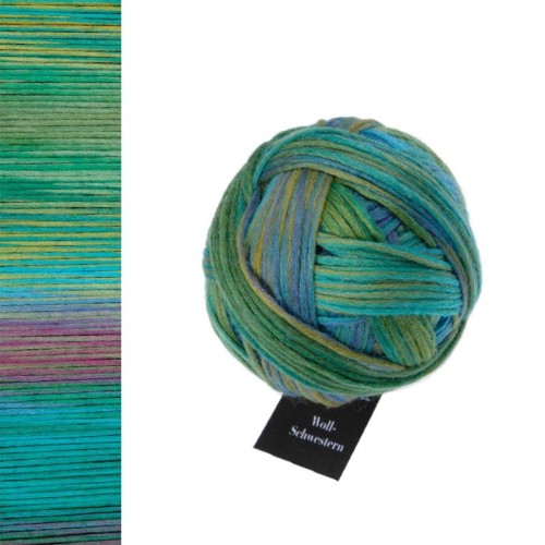 Włóczka Schoppel Wool-Schwestern 2645 / Adelheid