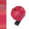 Włóczka Schoppel Wool-Schwestern 2646 / Berta