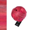Włóczka Schoppel Wool-Schwestern 2646 / Berta