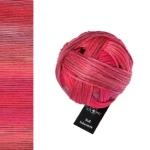 Włóczka Schoppel Wool-Schwestern 2646 / Berta