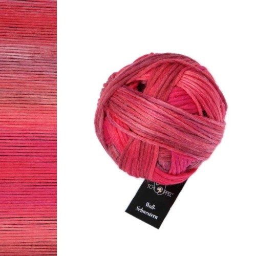 Włóczka Schoppel Wool-Schwestern 2646 / Berta