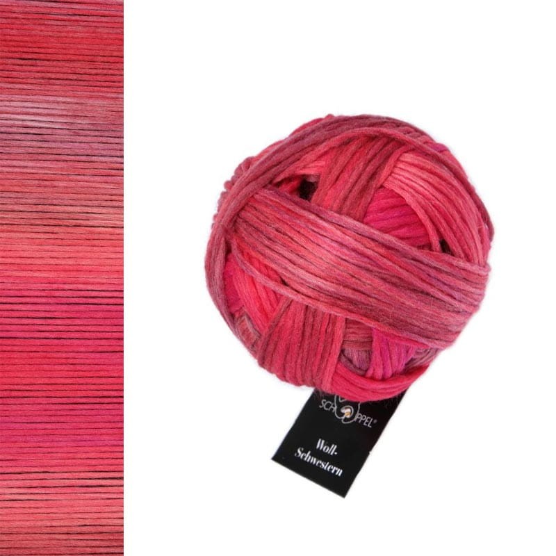 Włóczka Schoppel Wool-Schwestern 2646 / Berta