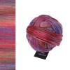 Włóczka Schoppel Wool-Schwestern 2652 / Brunhilde