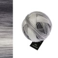Włóczka Schoppel Wool-Schwestern 2664 / Edda