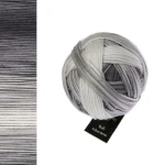 Příze Schoppel Wool-Schwestern 2664 / Edda
