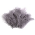 Pióra strusie 9-16 cm / szary / 20 sztuk / 150437