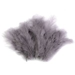 Pióra strusie 9-16 cm / szary / 20 sztuk / 150437