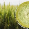KOKONEK Nature Kish Rare R226 Lemon Grass - Awokado/wasabi/masełkowy/beza + 1 nitka awokado + 1 nitka beza