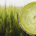 KOKONEK Nature Kish Rare R226 Lemon Grass - Awokado/wasabi/masełkowy/beza + 1 nitka awokado + 1 nitka beza