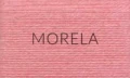 10_morela_kokonki.jpg
