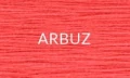 2023ARBUZ.JPG