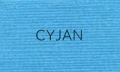111a_cyjan.PNG