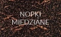 nopki_miedziane.JPG