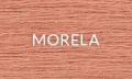 MORELA 2025.jpg