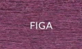FIGA 2025.jpg