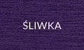 ŚLIWKA.jpg