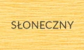 SŁONECZNY-2025-2.jpg