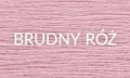 BRUDNY RÓŻ 2025.jpg